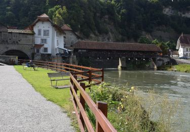 Excursión A pie Friburgo - Bourguillon - Schürmatt - Photo