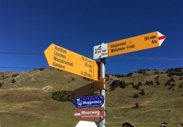 Randonnée A pied Hasliberg - Muggenstutz Zwergenweg Lischen-Käserstatt - Photo