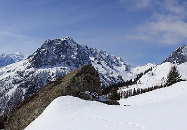 Randonnée A pied Vallorcine - Chalet de Loriaz - Photo