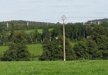 Randonnée A pied La Calamine - Richesse calaminaire - Photo