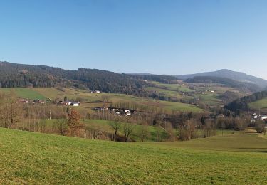 Tour Zu Fuß Sankt Englmar - Goldsteig Zuweg Nr.29 Neukirchen - Maibrunn - St. Englmar - Photo