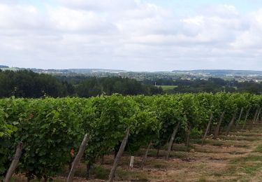 Randonnée Marche Cravant-les-Côteaux - Cravant les coteaux (vieux bourg) - Photo