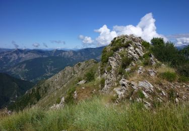 Tour Zu Fuß Moulinet - Crêtes de l'Arpiha - Photo