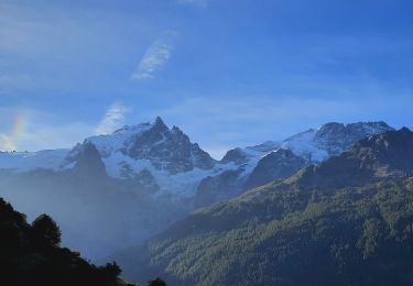 Tour Wandern La Grave - Côte Rouge  - Photo