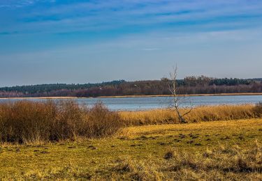 Tour Zu Fuß Mark Landin - Wanderweg Pinnow-Schwedt/Oder - Photo