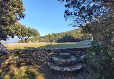 Randonnée Marche Belvédère-Campomoro - Tour de Campomoro - Photo