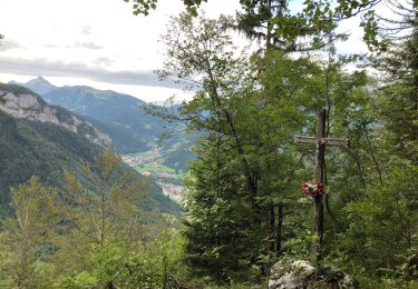 Tocht Stappen Thônes - Les Glières depuis le Crêt - Photo