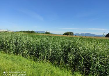 Trail Walking Heimsbrunn - heimsbrunn - Photo