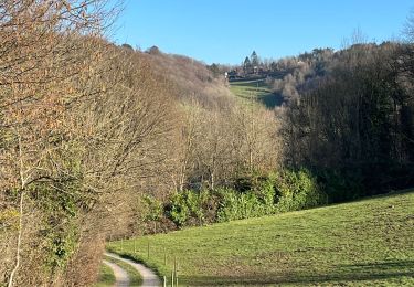 Excursión Senderismo Olne - Nessonvaux a l’envers - Photo