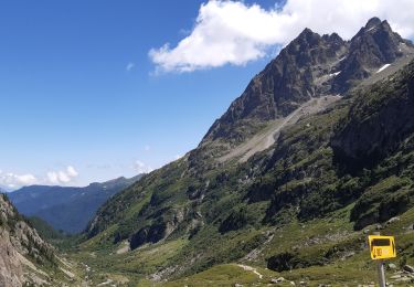 Tocht Stappen Vallorcine - refuge Pierre à  Berard par le Buet - Photo