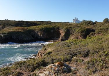 Tour Wandern Île-d'Houat - Tour ile de houat - Photo