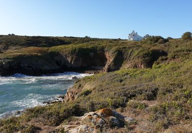 Tocht Stappen Île-d'Houat - Tour ile de houat - Photo