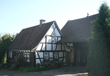 Percorso A piedi Brensbach - Rundwanderweg Wallbach 1: Buchböhl-Weg - Photo