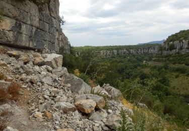 Tocht Stappen Pradons - Pradons Gens Abeille 18km - Photo