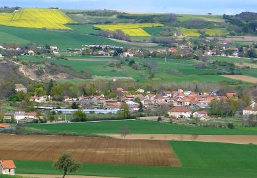 Tocht Stappen Saint-Myon - St_Myon_Morge_Puy_Loule - Photo