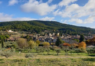 Trail Mountain bike Moissac-Bellevue - Foret de Poulenc aups moissac - Photo