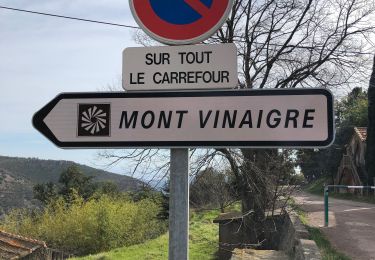 Tocht Stappen Fréjus - Le mont vinaigre - Photo