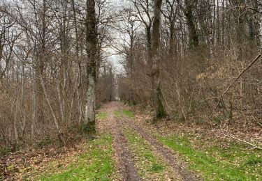 Tocht Stappen Gourdon - Moulin du Bost - Photo