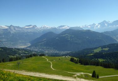 Trail Walking Saint-Gervais-les-Bains - F74120 Mont d'Arbois Mont Joux MJC - Photo