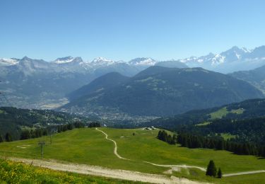 Tour Wandern Saint-Gervais-les-Bains - F74120 Mont d'Arbois Mont Joux MJC - Photo