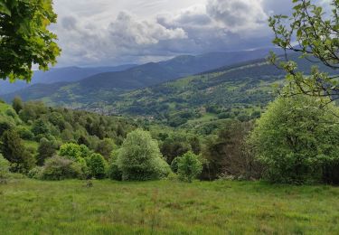 Trail Walking Soultzeren - Lac de Forlet Hohrodberg  - Photo
