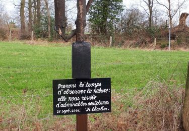 Trail Nordic walking Herve - battice_12_01_2020 - Photo
