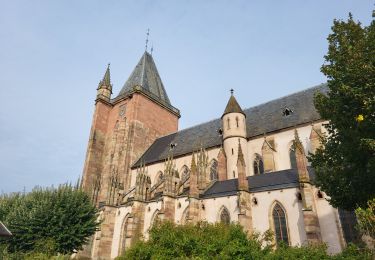 Randonnée Marche Niederhaslach - Niederhaslach - châteaux Ringelstein - Rochers du Pfaffenlapp et du Breitberg - Photo