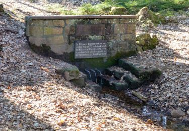 Percorso A piedi Grasellenbach - Rundwanderweg Grasellenbach 8: Erlebniswanderweg Fürth-Grasellenbach - Photo