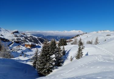 Tocht Noords wandelen La Plagne-Tarentaise - La Plagne 1800 Le Dou du Praz (boucle) - Photo