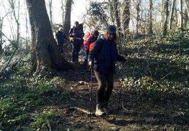 Trail Walking Viroflay - La grande traversée des forêts des Hauts de Seine - Photo