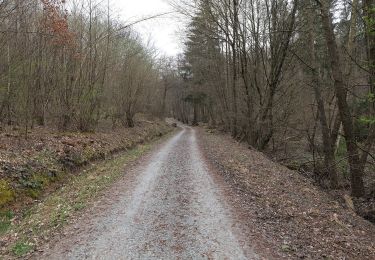 Percorso A piedi Ober-Mörlen - Wanderwege Vogeltal - Eichenblatt - Photo