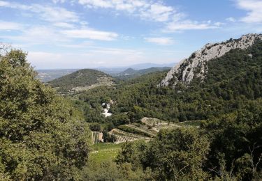 Trail Walking Gigondas - gigondas - Photo