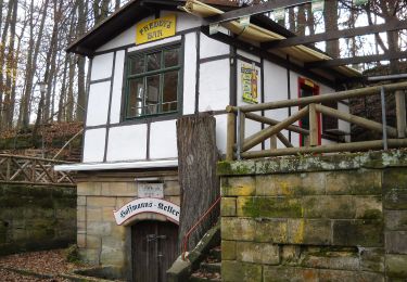 Trail On foot Forchheim - Zielwanderweg Forchheim- Reifenberg - Photo