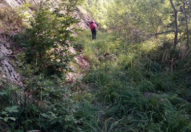 Trail Walking Saint-Pierre-d'Entremont - col cucheron grande Som_col de Bevinant_Col de fret - Photo