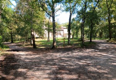 Tour Wandern Lugos - chapelle Saint Lugo - Photo