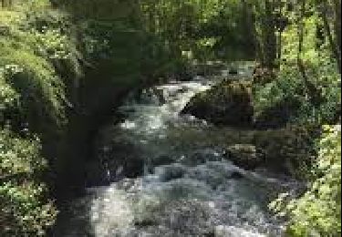 Trail Walking Pommeuse - La Promenade du Grand Morin et la Cascade de l'Aubetin - Photo