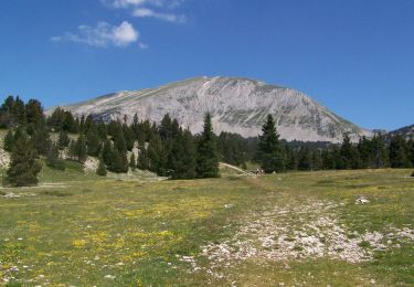 Randonnée Marche Saint-Agnan-en-Vercors - Le Grand Veymont par la Coche - Photo