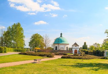 Tour Zu Fuß Bad Bohdanetsch - naučná stezka Gočárův okruh - Photo