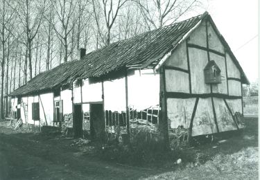 Randonnée A pied Diepenbeek - Lange afstandstocht - Photo