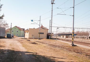 Randonnée A pied Kolín - [Ž] Kolín - Záboří nad Labem - Photo