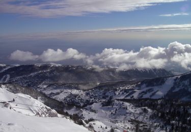 Tocht Te voet Aviano - Sentiero Gerometta - Photo