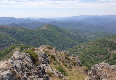 Excursión Senderismo Val-d'Aigoual - Favieres Col Homme mort Bonperrier par crête Lacan - Photo