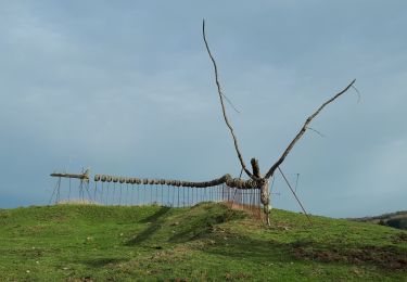 Tour Wandern Gesves - Vallée du Samson - Photo