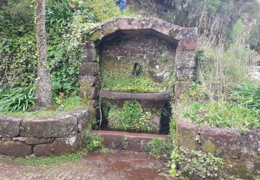 Tocht Stappen Calheta - Madère : de Rabaçal vers les 25 sources - Photo