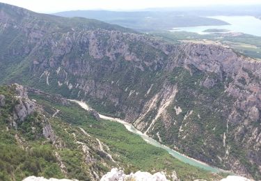 Trail Walking Moustiers-Sainte-Marie - Venascle La Palud sur Verdon - Photo