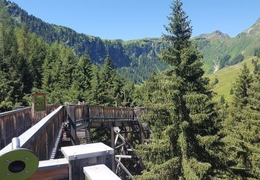 Randonnée A pied Saalbach-Hinterglemm - Talschluss Höhenweg - Photo