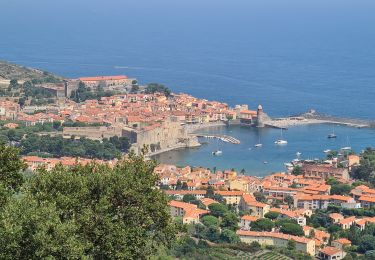 Trail Walking Port-Vendres - Rando Port Vendres du 23/07/2021 - Photo