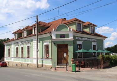 Tour Zu Fuß Totschnik - [Z] Točník - Skryje - Photo