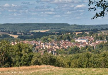 Randonnée Marche Rémalard en Perche - Autour du Bois St Georges 9.2 Km - Photo