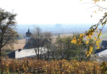 Tour Zu Fuß Gemeinde Guntramsdorf - Runnersfun Runde (Guntramsdorf) - Photo